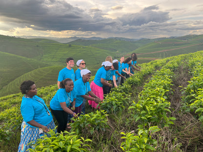 Pilgrimage to Kibeho, Rwanda August 13 - 24, 2026