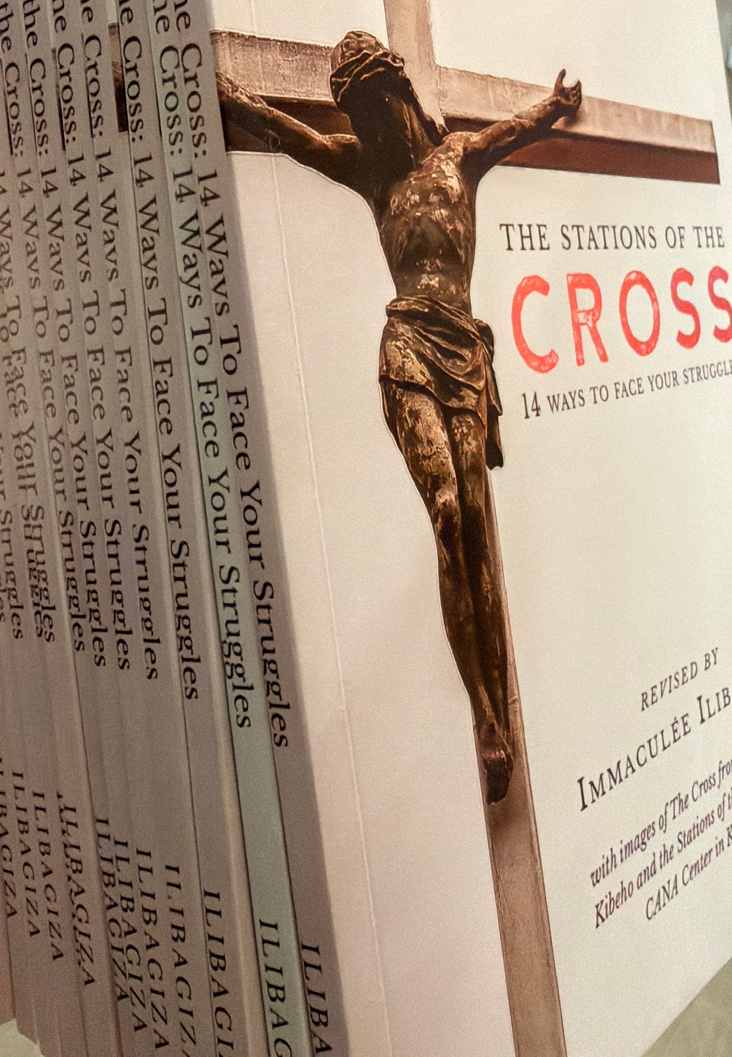 The Stations of the Cross Book by Immaculee -small version 4x 5.75